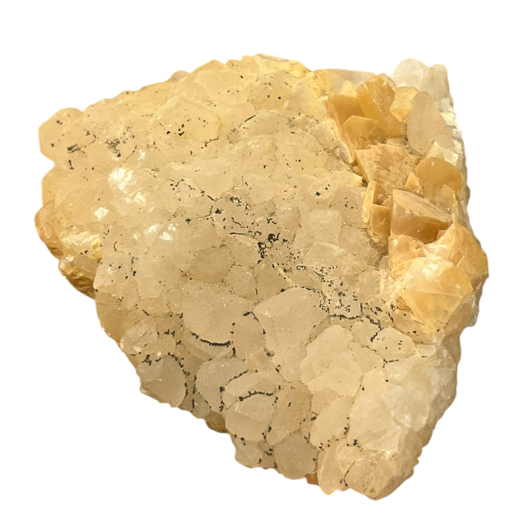 CALCITE 2 generations Holzen Allemagne M18W26