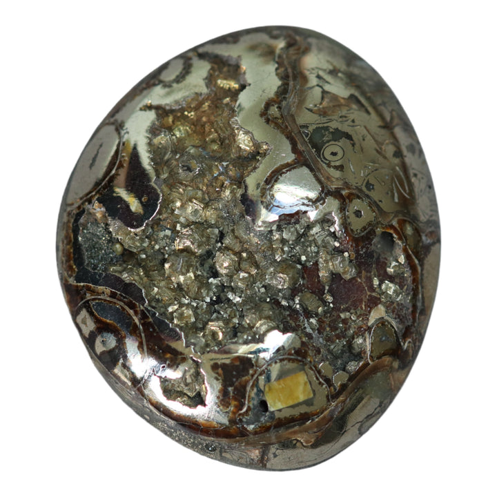 Ammonite pyritisée, AM_P067, taille cabochon, 47x39x11mm; 29.3g;