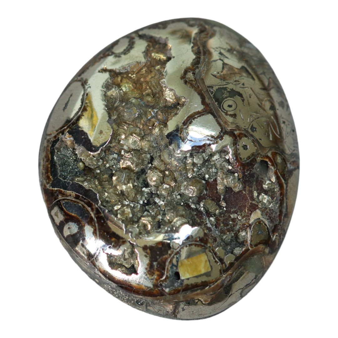 Ammonite pyritisée, AM_P067, taille cabochon, 47x39x11mm; 29.3g;