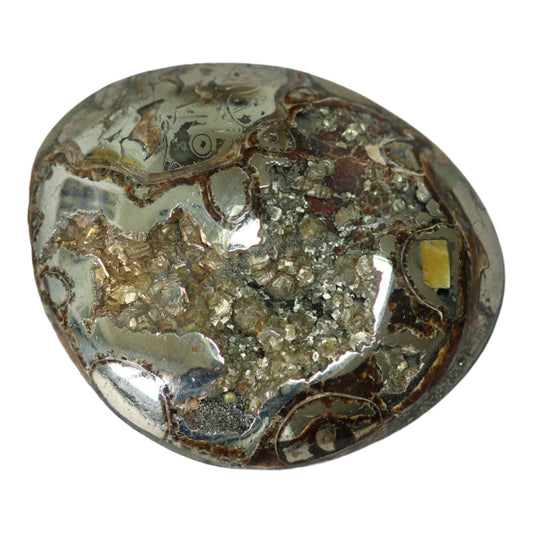 Ammonite pyritisée, AM_P067, taille cabochon, 47x39x11mm; 29.3g;
