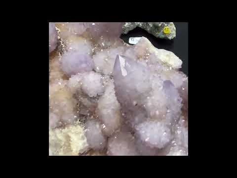 Druse Amethyst Cactus mpumalanga Südafrika DB117