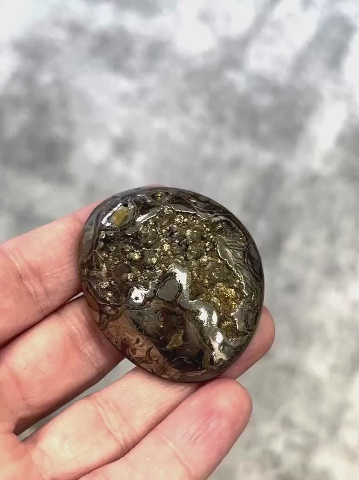 Ammonite pyritisée, AM_P067, taille cabochon, 47x39x11mm; 29.3g;