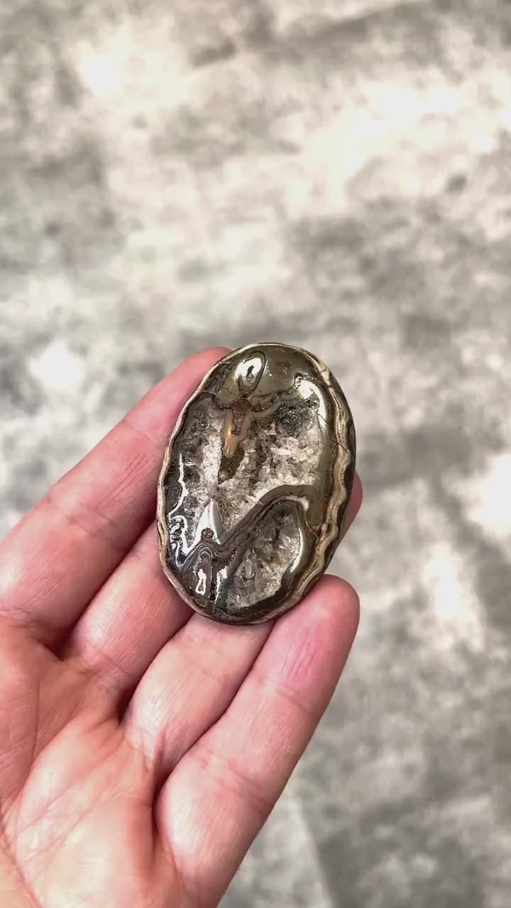 Ammonite pyritisée, AM_P106, taille cabochon, 52x35x7 mm; 20g;