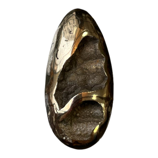 Ammonite pyritisée, AM_P051, taille cabochon, 42x20x8 mm; 9.4g;