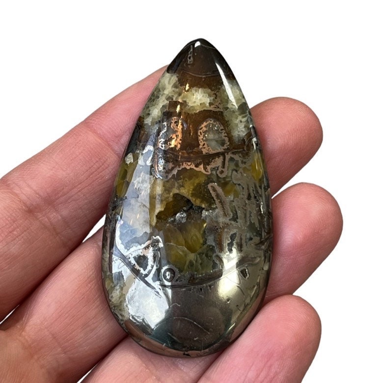 Ammonite pyritisée, AM_P083, taille cabochon, 57x30x7 mm; 19.5g;