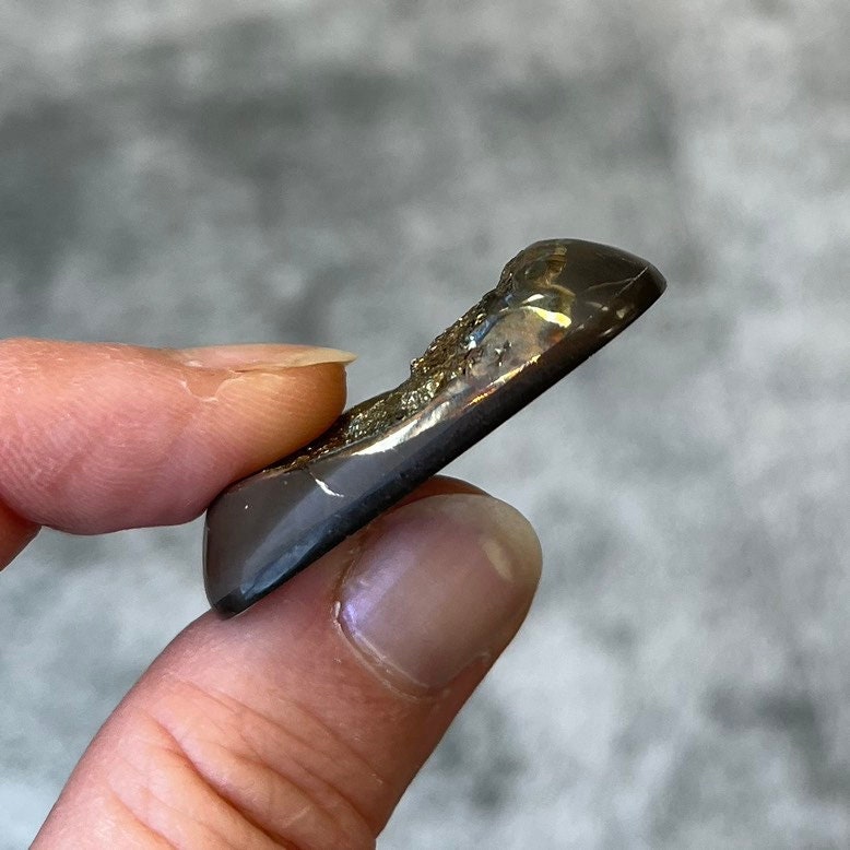 Ammonite pyritisée, AM_P085, taille cabochon, 39x22x8 mm; 12.5g;