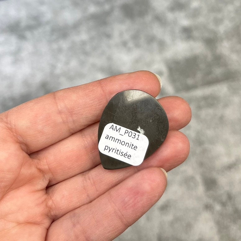 Ammonite pyritisée, AM_P031, taille cabochon, 34x26x6 mm; 9.7g