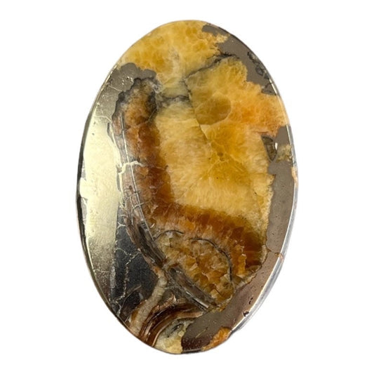 Ammonite pyritisée, AM_P044, taille cabochon, 44x29x5 mm; 15g;