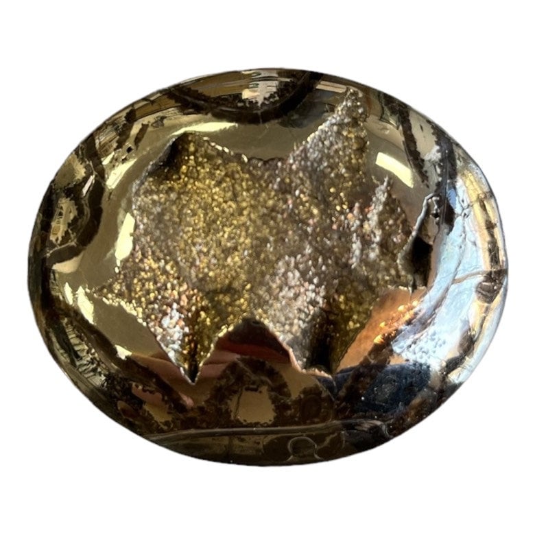 Ammonite pyritisée, AM_P064, taille cabochon, 46x37x10 mm; 26.8g;