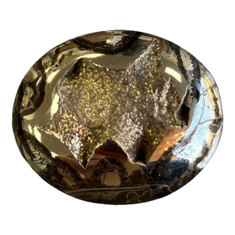 Pyritized ammonite, AM_P064, cabochon size, 46x37x10 mm; 26.8g;