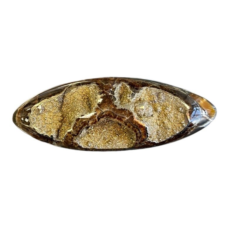 Ammonite pyritisée, AM_P063, taille cabochon, 84x30x15 mm; 42g;