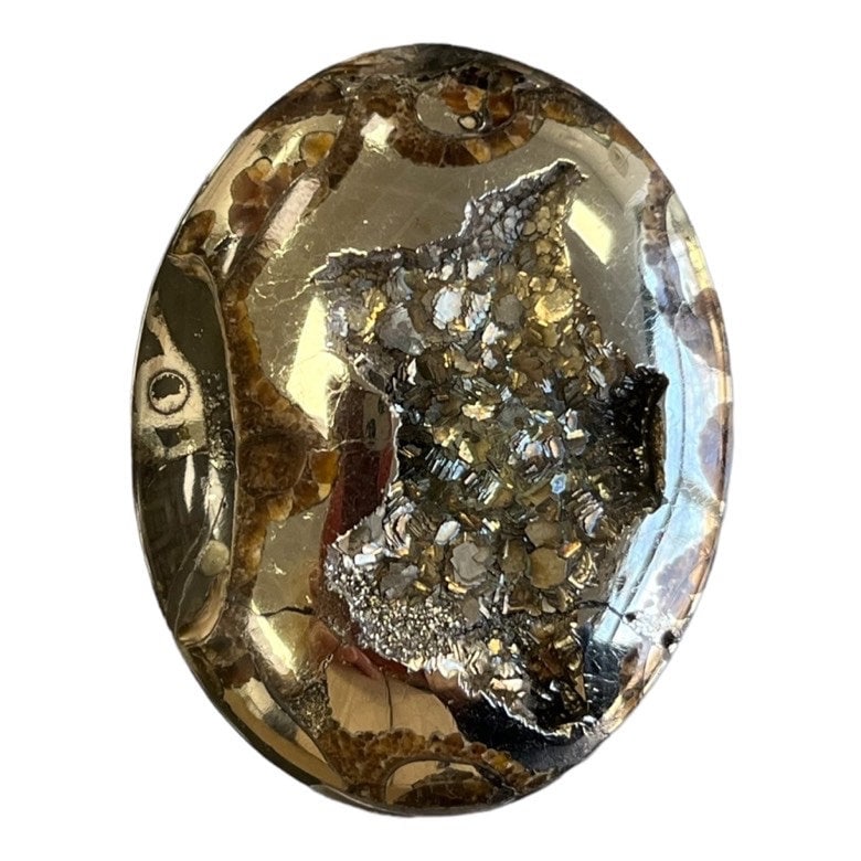 Ammonite pyritisée, AM_P035, taille cabochon, 46x35x9 mm; 22.8g;