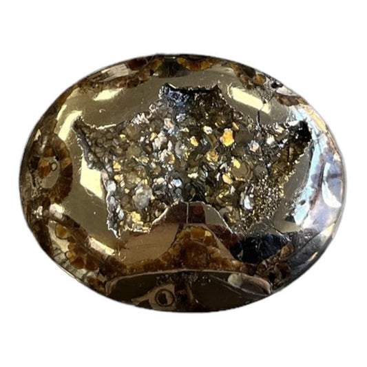 Ammonite pyritisée, AM_P035, taille cabochon, 46x35x9 mm; 22.8g;