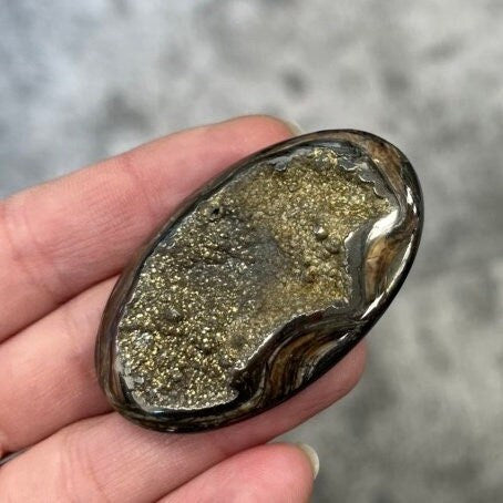 Ammonite pyritisée, AM_P056, taille cabochon, 52 x 33 x11mm; 20.8g;