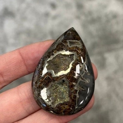 Ammonite pyritisée, AM_P027, taille cabochon, 52x35x8 mm; 20g;