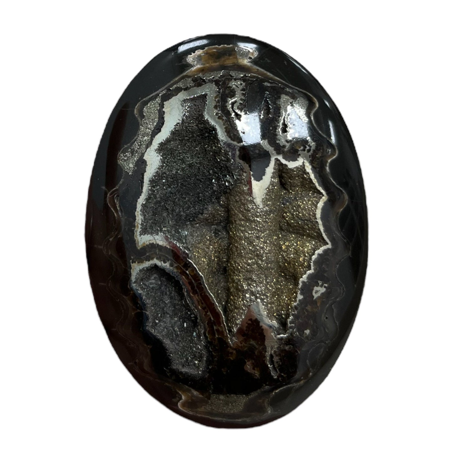 Ammonite pyritisée, AM_P059, taille cabochon, 55x40x11 mm; 27.4g;