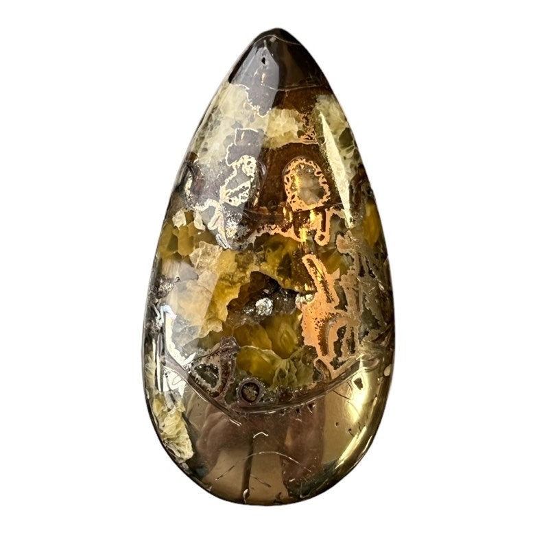 Ammonite pyritisée, AM_P083, taille cabochon, 57x30x7 mm; 19.5g;