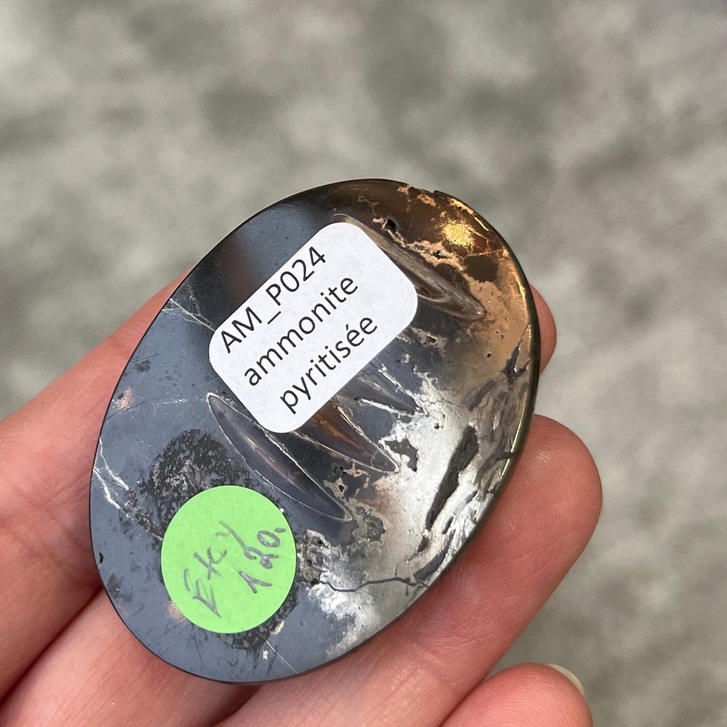 Ammonite pyritisée, AM_P024, taille cabochon, 59x44x11 mm; 29g;
