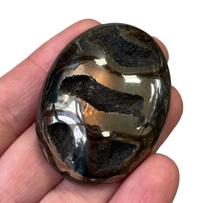 Ammonite pyritisée, AM_P024, taille cabochon, 59x44x11 mm; 29g;