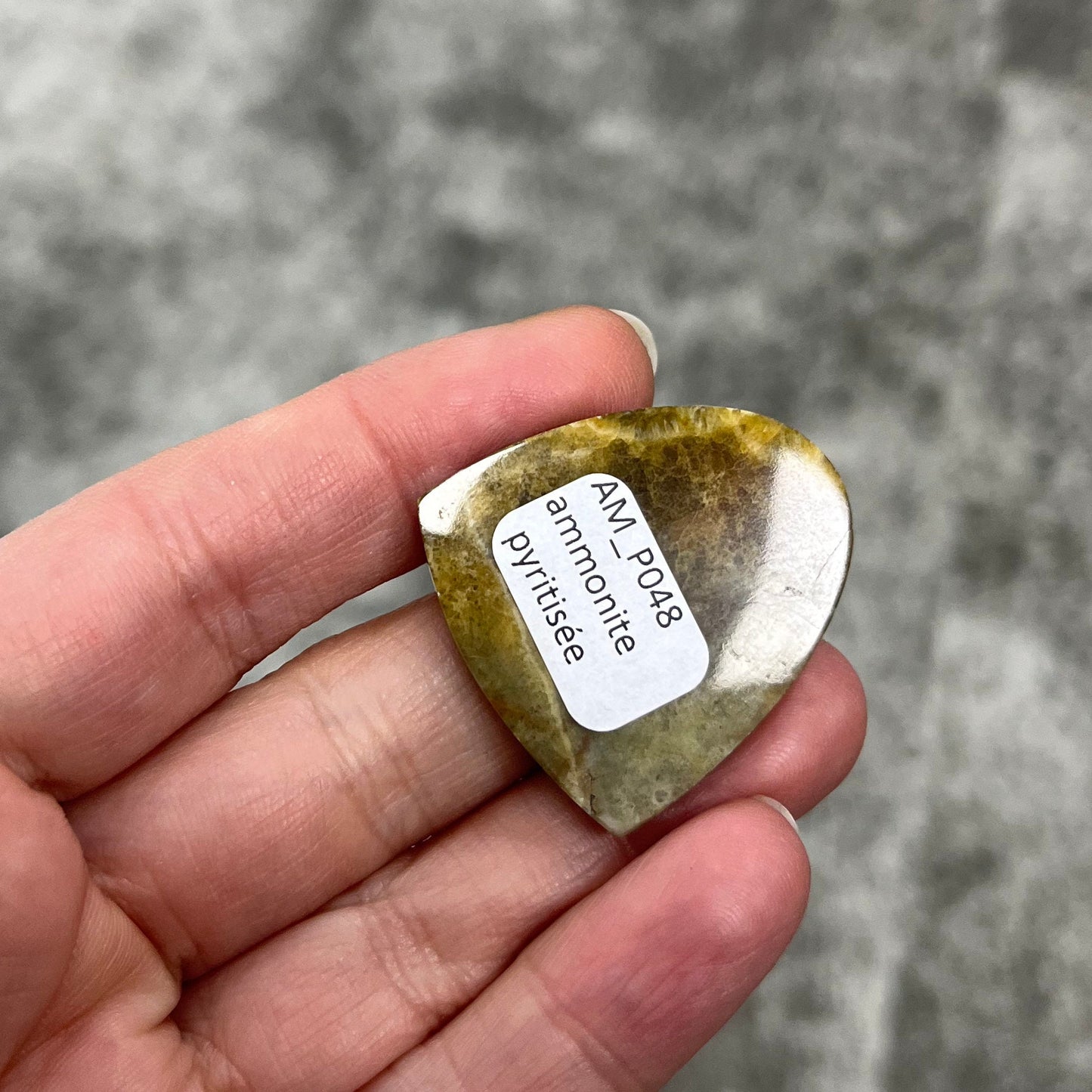Ammonite pyritisée, AM_P048, taille cabochon, 33x30x5 mm; 11.7g