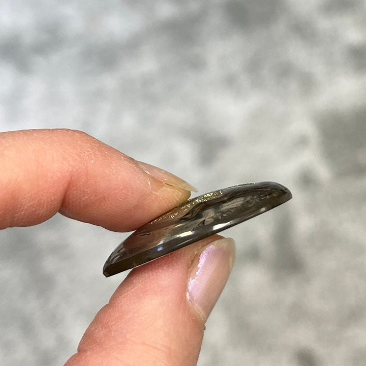 Pyritized ammonite, AM_P031, cabochon size, 34x26x6 mm; 9.7g