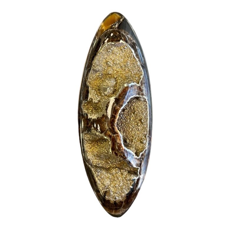 Ammonite pyritisée, AM_P063, taille cabochon, 84x30x15 mm; 42g;