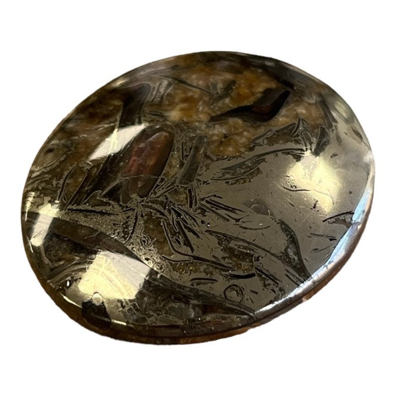 Ammonite pyritisée, AM_P050, taille cabochon, 40x35x7 mm; 16.2g;
