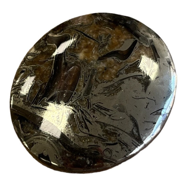 Ammonite pyritisée, AM_P050, taille cabochon, 40x35x7 mm; 16.2g;