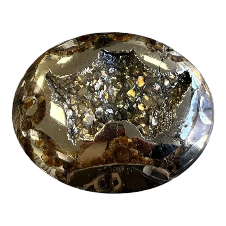 Ammonite pyritisée, AM_P035, taille cabochon, 46x35x9 mm; 22.8g;