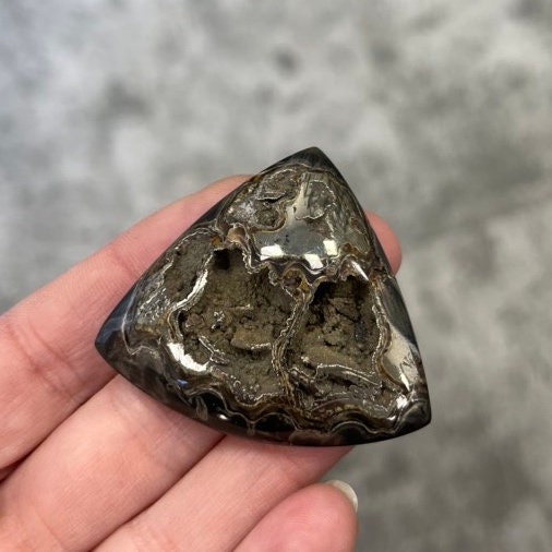 Ammonite pyritisée, AM_P070, taille cabochon, 48x43x9 mm; 19g;
