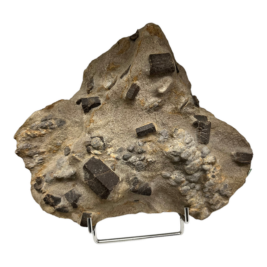 Staurolite staurolite in schist Coray France DR136