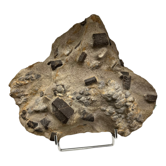 Staurolite staurotide dans schiste Coray France DR136