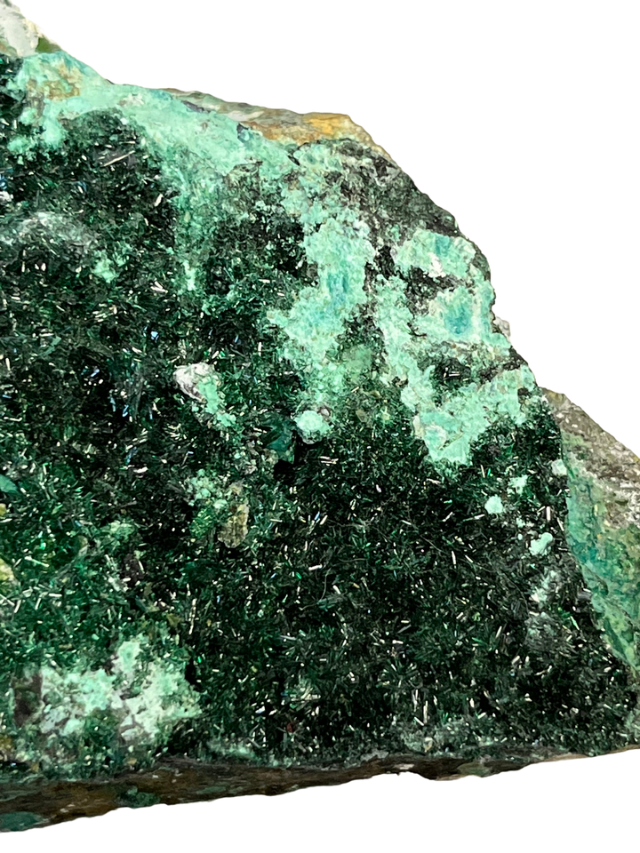 Atacamite chrysocolle Chili DR59