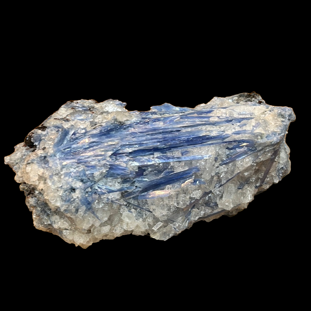 Disthène cyanite et grenat Brésil DB50